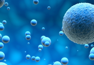 תאים אנושיים על רקע כחול שמאלה את השאלה מה התאים שלנו צריכים כדי לשמור על בריאות הגוף