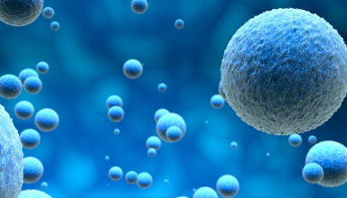 תאים אנושיים על רקע כחול שמאלה את השאלה מה התאים שלנו צריכים כדי לשמור על בריאות הגוף