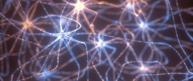 תאי עצם שמעבירים סיגנלים חשמליים בתוך מערכת העצבים