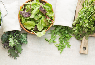 קערה ושקיות עם עלים ירוקים שעשרים ביותר בוויטמין C, מחזקים את המערכת החיסונית ועוזרים למנוע מחלות חורף