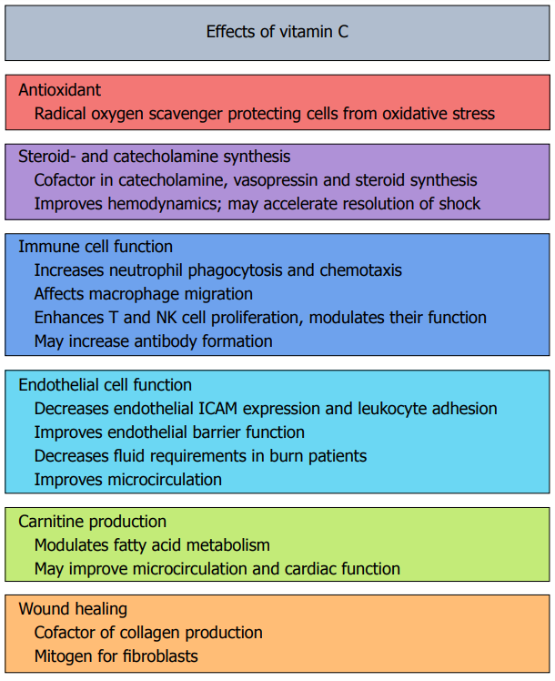 טבלה עם התפקידים הפיזיולוגיים של ויטמין C